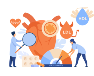 Understanding Cholesterol